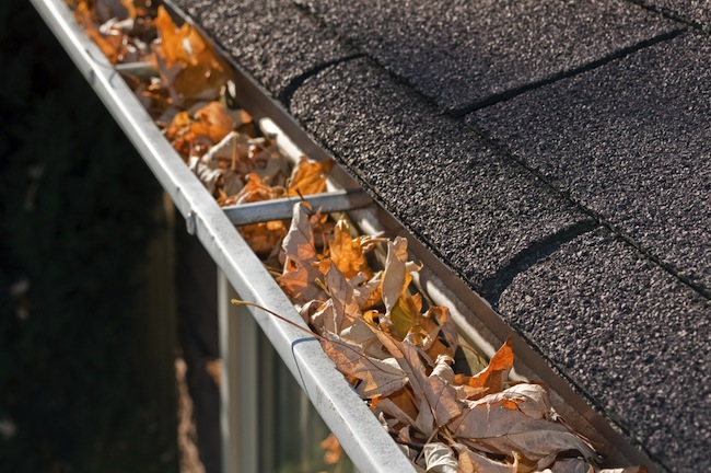 Gutter Waste Removal